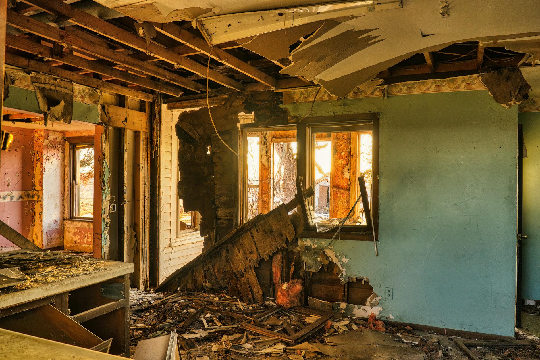 Leading Mold Removal Company In Lakeland — Lakeland, FL