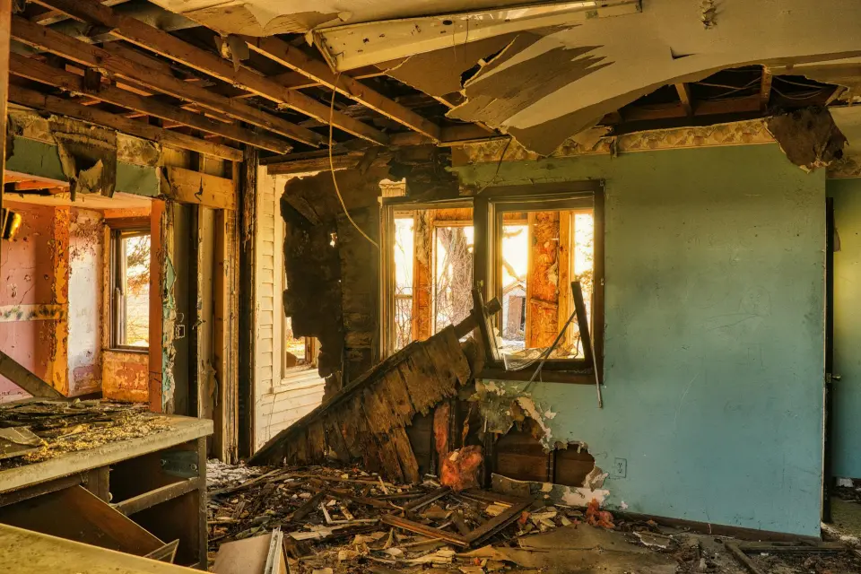 Our Story: Dedicated to a Mold-Free Lakeland